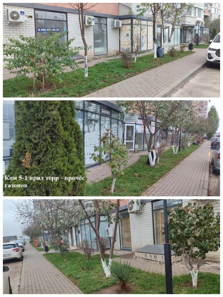 2025.12.03 - 5-1 пт - прочёс газонов.jpg 2025.12.03 - 5-1 пт - прочёс газонов.jpg