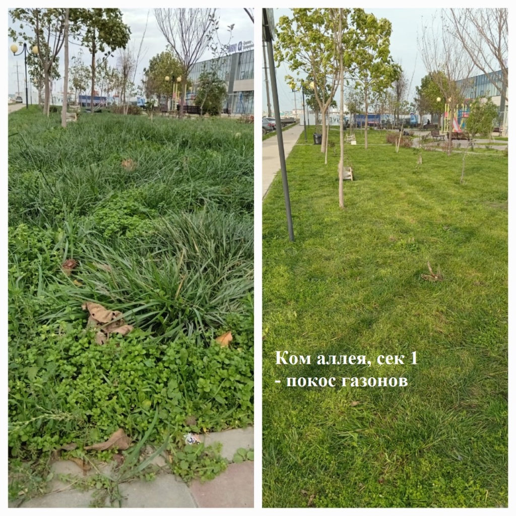 2025.11.19 - аллея, сек 1 - покос газонов.jpeg 2025.11.19 - аллея, сек 1 - покос газонов.jpeg