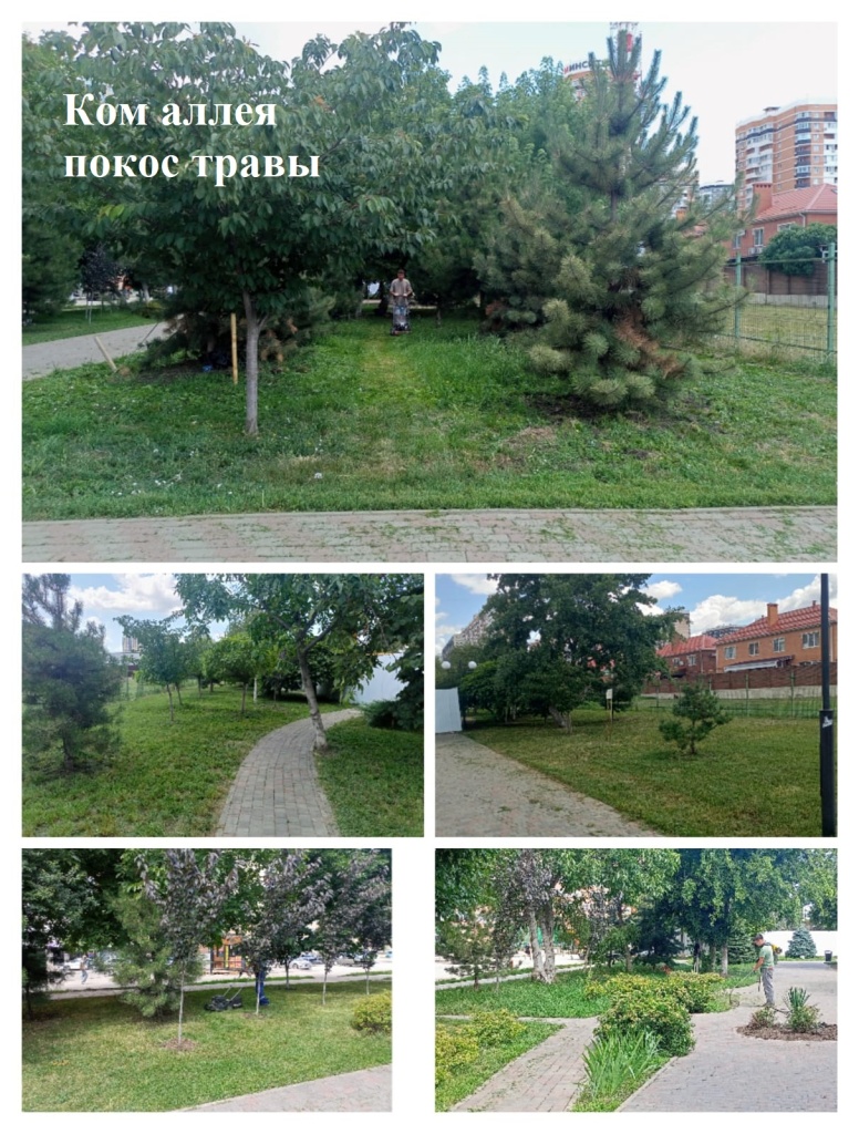 2025.07.02 - аллея покос травы.jpeg 2025.07.02 - аллея покос травы.jpeg