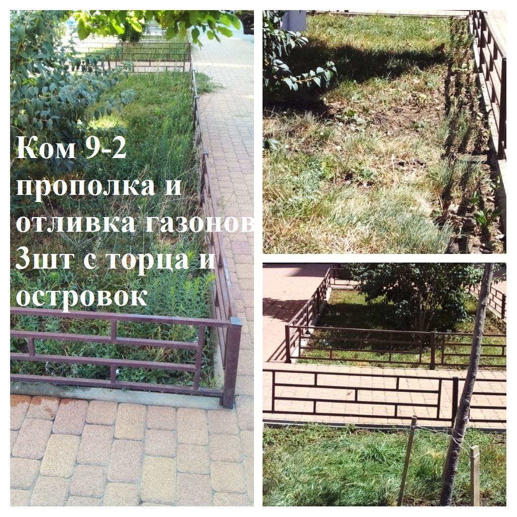 2025.08.12 - 9-2 прополка и отливка газонов 3шт с торца и островок.jpeg 2025.08.12 - 9-2 прополка и отливка газонов 3шт с торца и островок.jpeg