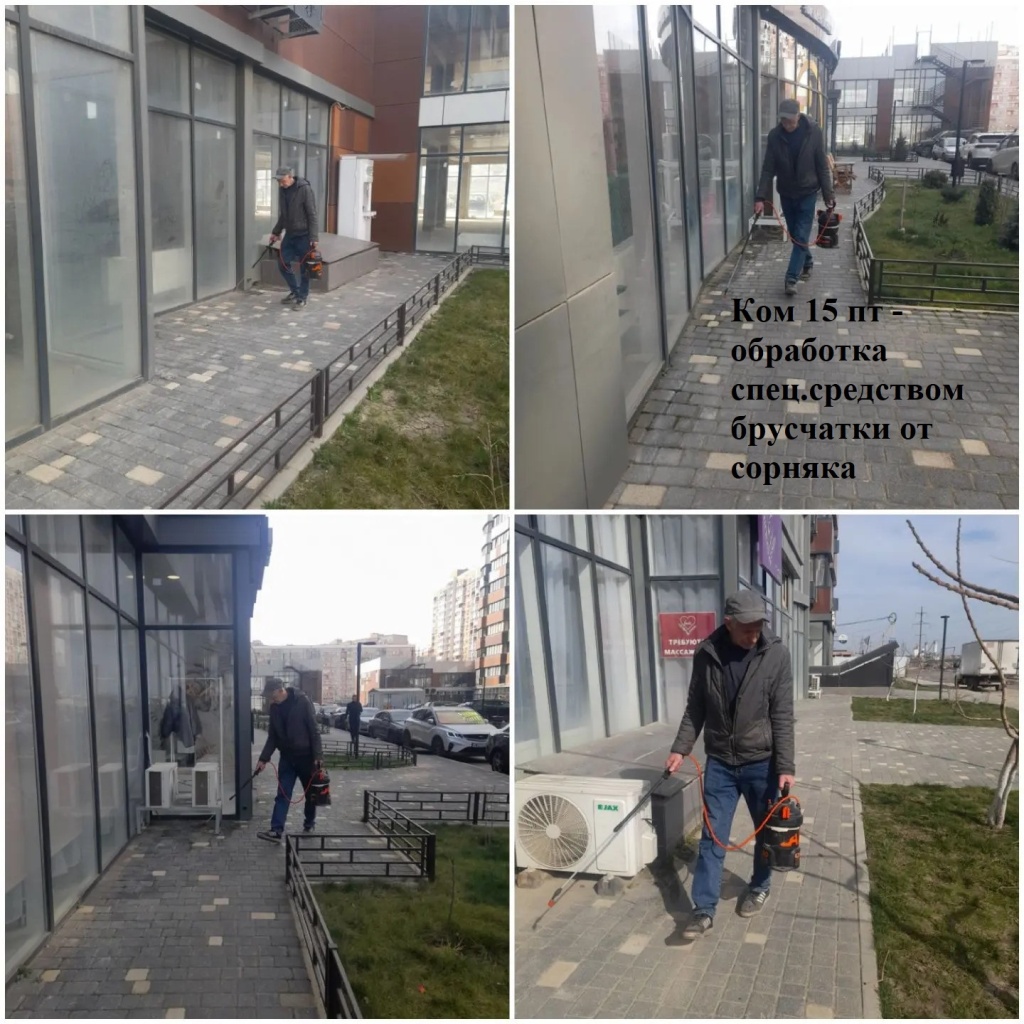 2026.03.19 - 15 пт - обработка спец.средством брусчатки от сорняка.jpeg 2026.03.19 - 15 пт - обработка спец.средством брусчатки от сорняка.jpeg