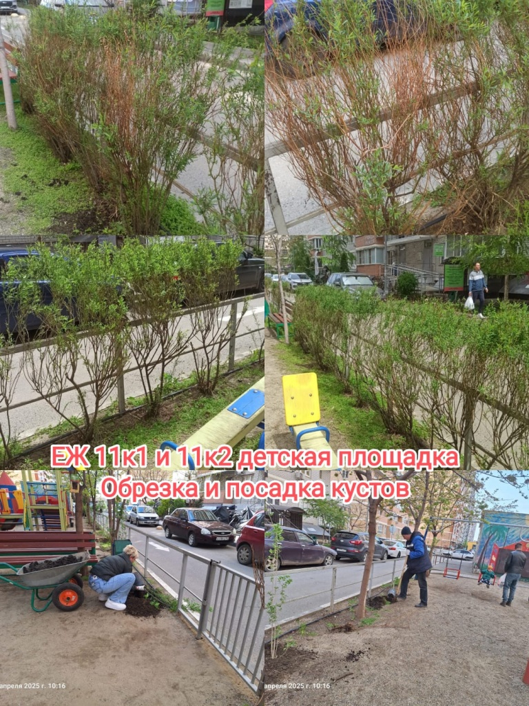 150425_ЕЖ11_ДП_обрезка кустов.jpg 150425_ЕЖ11_ДП_обрезка кустов.jpg