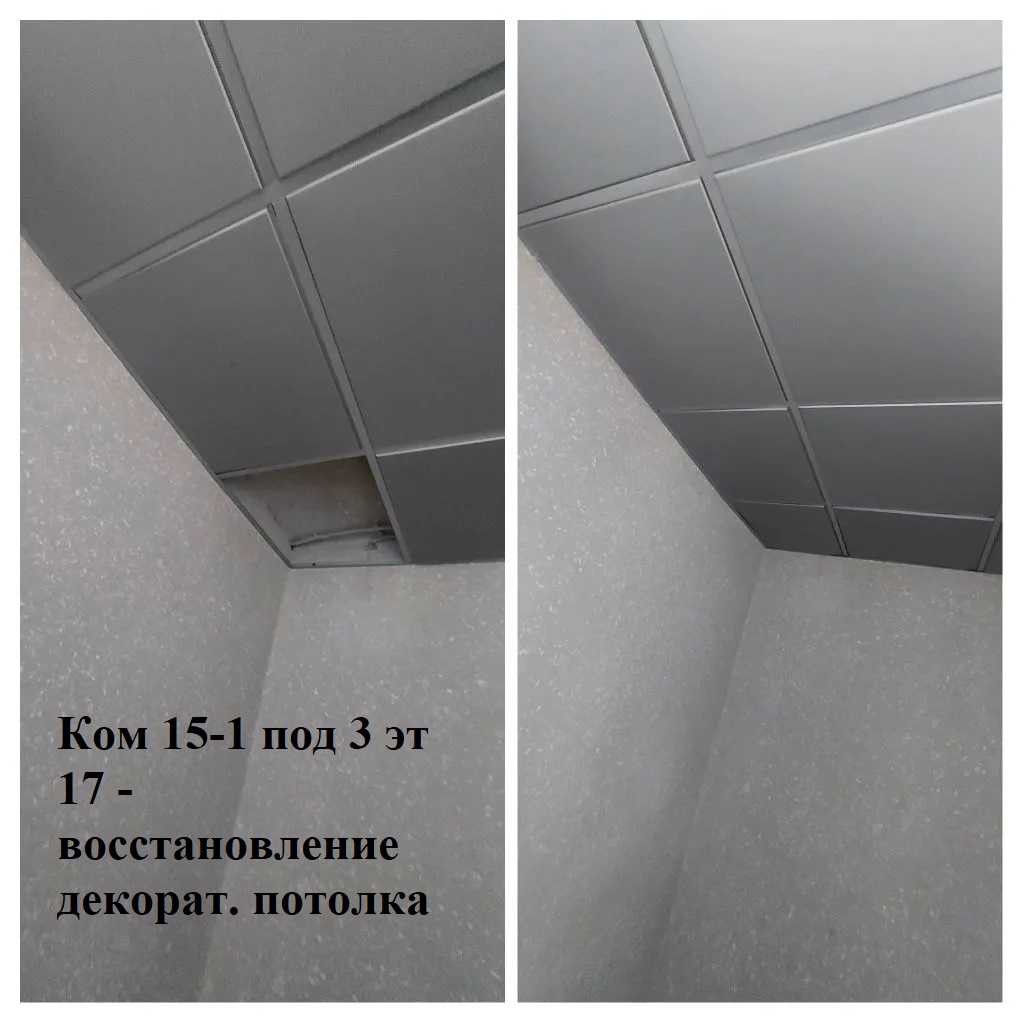 2026.03.16 - 15-1 под 3 эт 17 - воссатновление декорат. потолка.jpeg 2026.03.16 - 15-1 под 3 эт 17 - воссатновление декорат. потолка.jpeg