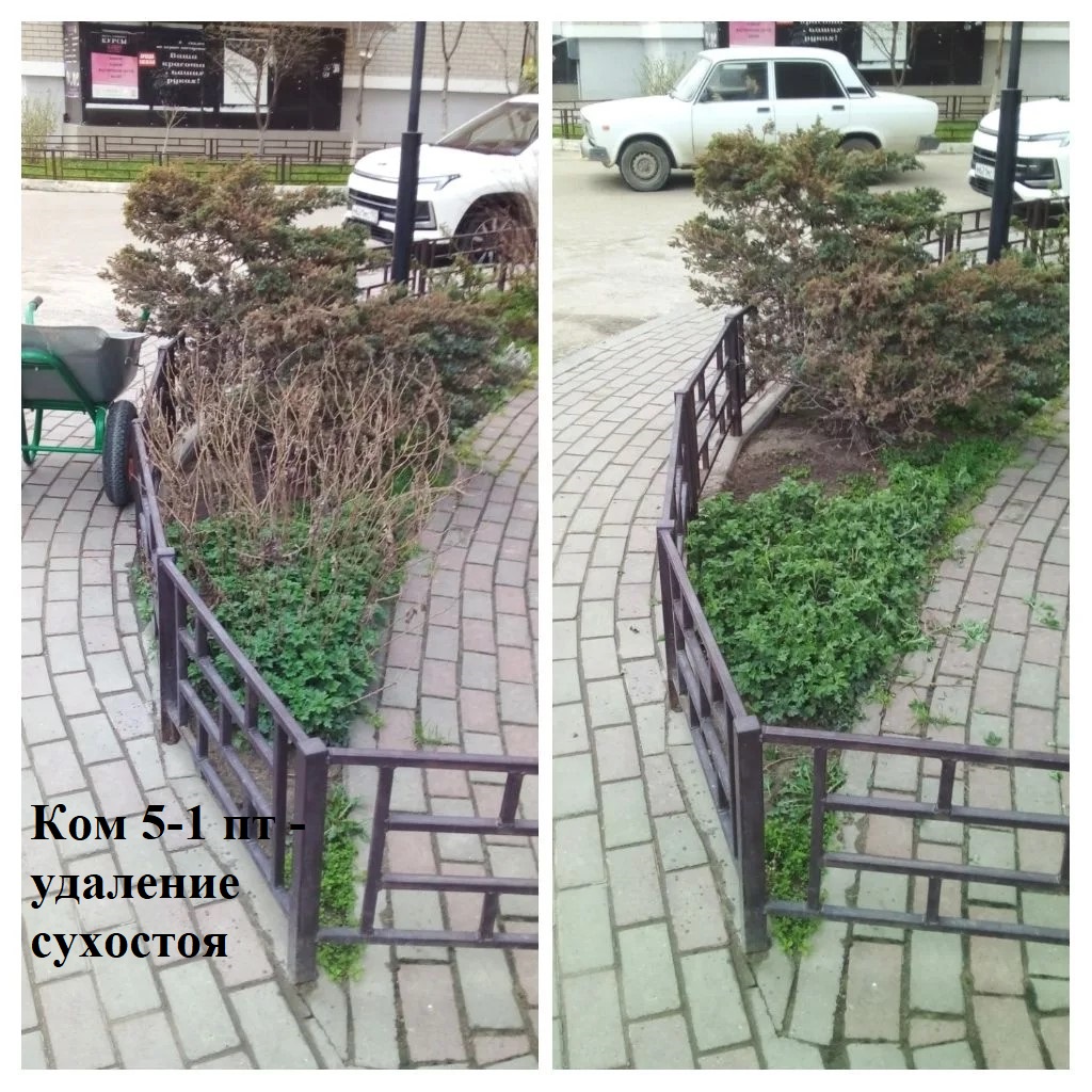 2026.03.26 - 5-1 пт - удаление сухостоя.jpeg 2026.03.26 - 5-1 пт - удаление сухостоя.jpeg