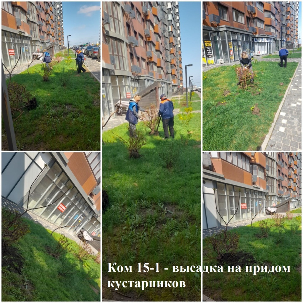 2025.04.03 - 15-1 - высадка на придом кустарников.jpeg 2025.04.03 - 15-1 - высадка на придом кустарников.jpeg