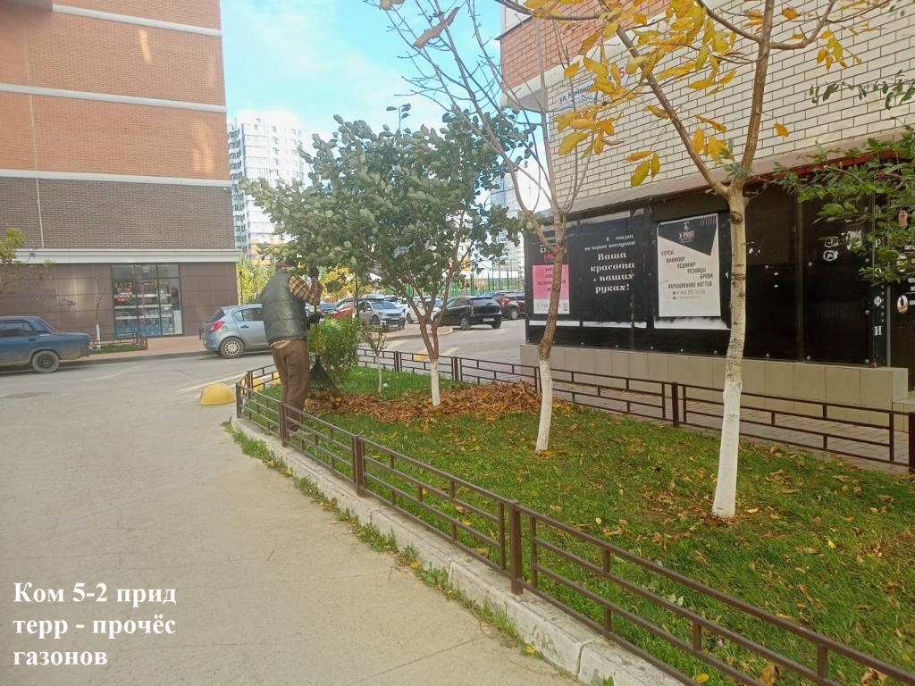 2025.11.19 - 5-2 пт - прочёс газонов.jpeg 2025.11.19 - 5-2 пт - прочёс газонов.jpeg