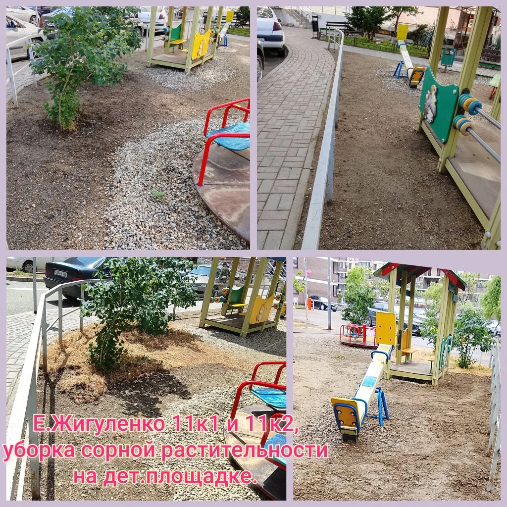IMG_20260522_134819.png IMG_20260522_134819.png