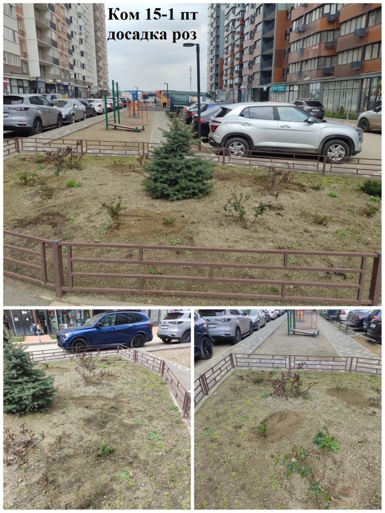 2026.03.25 - 15-1 пт досадка роз.jpeg 2026.03.25 - 15-1 пт досадка роз.jpeg