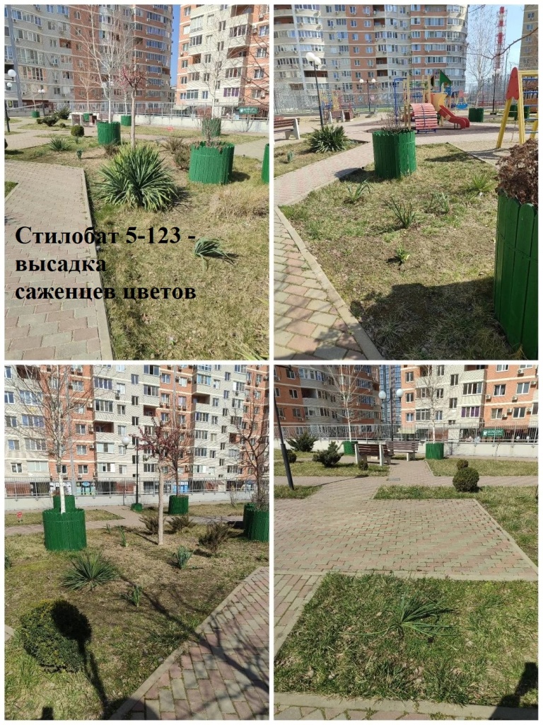 2026.03.18 - стилобат 5-123 - высадка саженцев цветов.jpeg 2026.03.18 - стилобат 5-123 - высадка саженцев цветов.jpeg