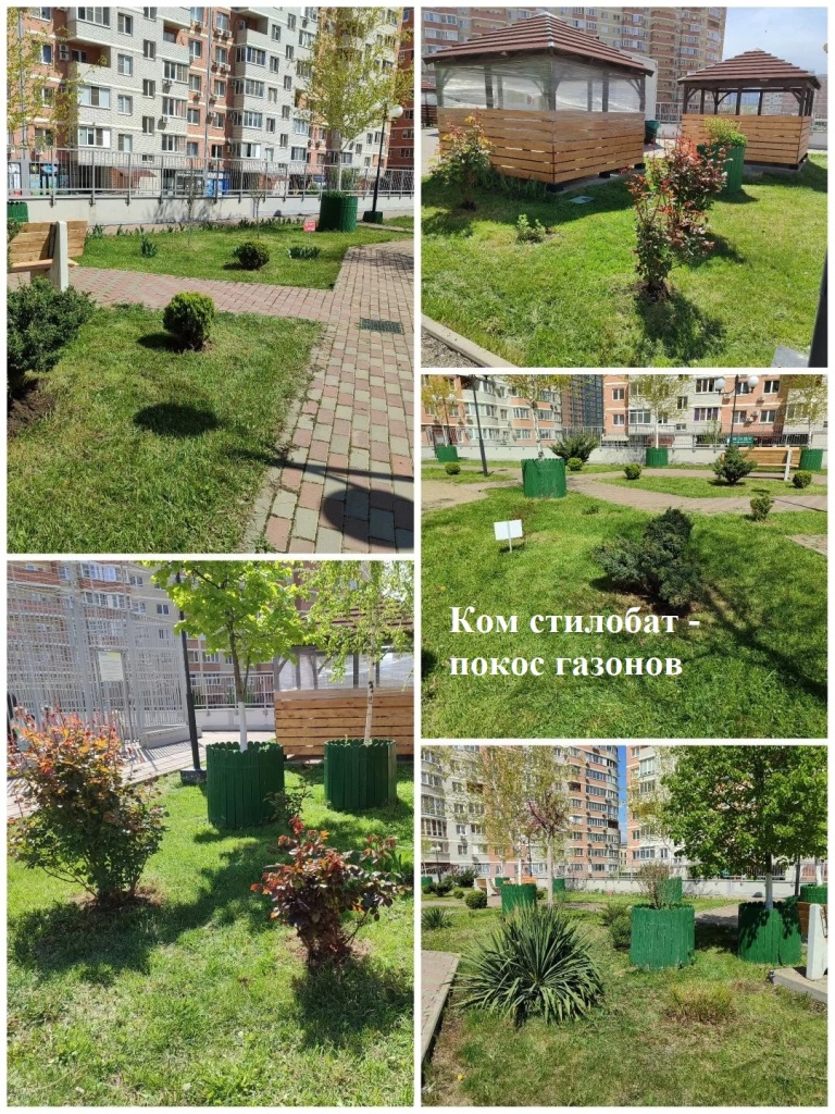 2026.04.26 - стилобат - покос газонов.jpg 2026.04.26 - стилобат - покос газонов.jpg