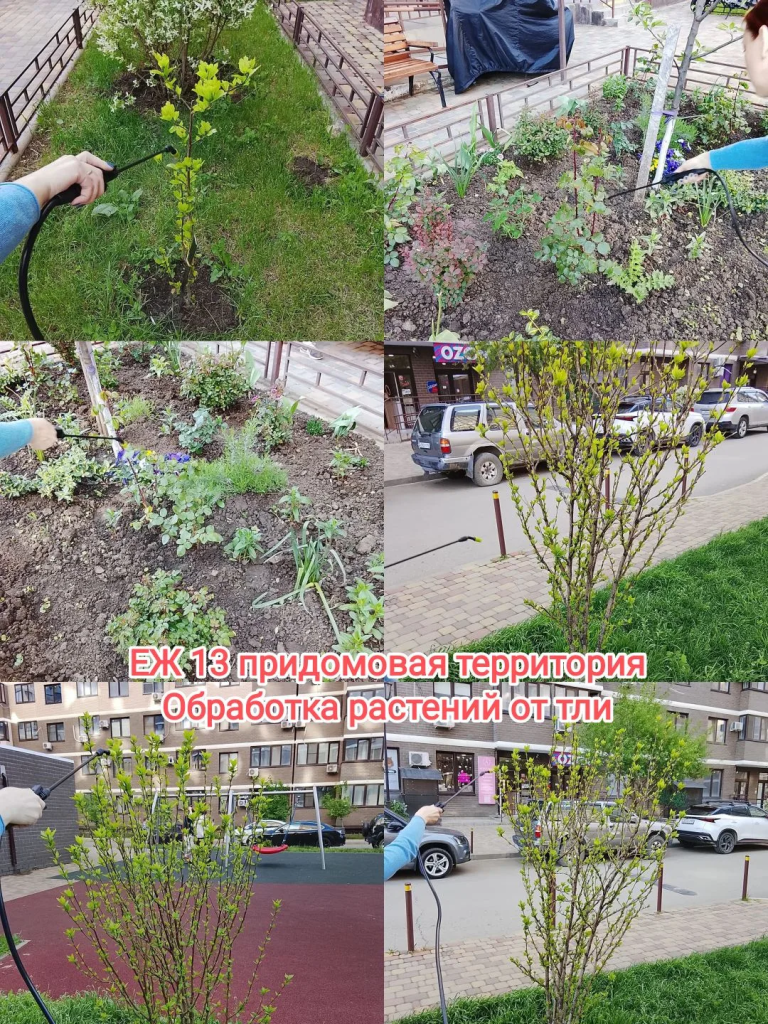 IMG_20260514_090044.png IMG_20260514_090044.png