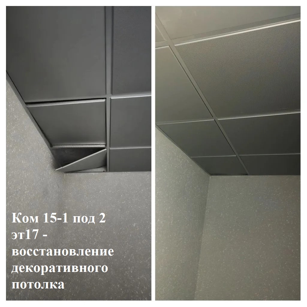 2026.02.16 - 15-1 под 2 эт17 - воостановление декоративного потолка.jpeg 2026.02.16 - 15-1 под 2 эт17 - воостановление декоративного потолка.jpeg