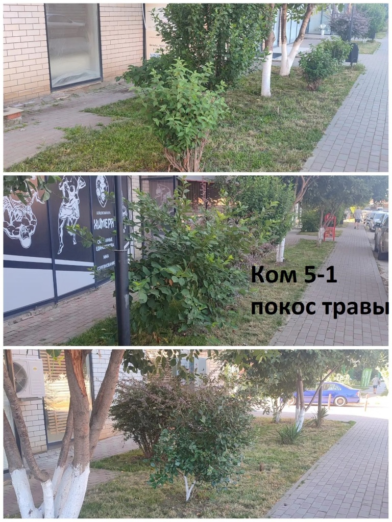 5-1 покос.jpg 5-1 покос.jpg