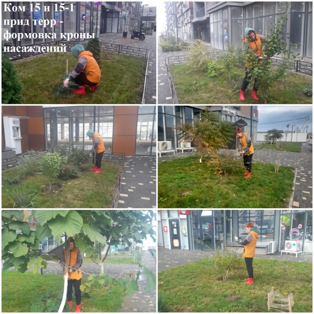 2025.10.23 - 15 и 15-1 пт - формовка кроны насаждений.jpeg 2025.10.23 - 15 и 15-1 пт - формовка кроны насаждений.jpeg