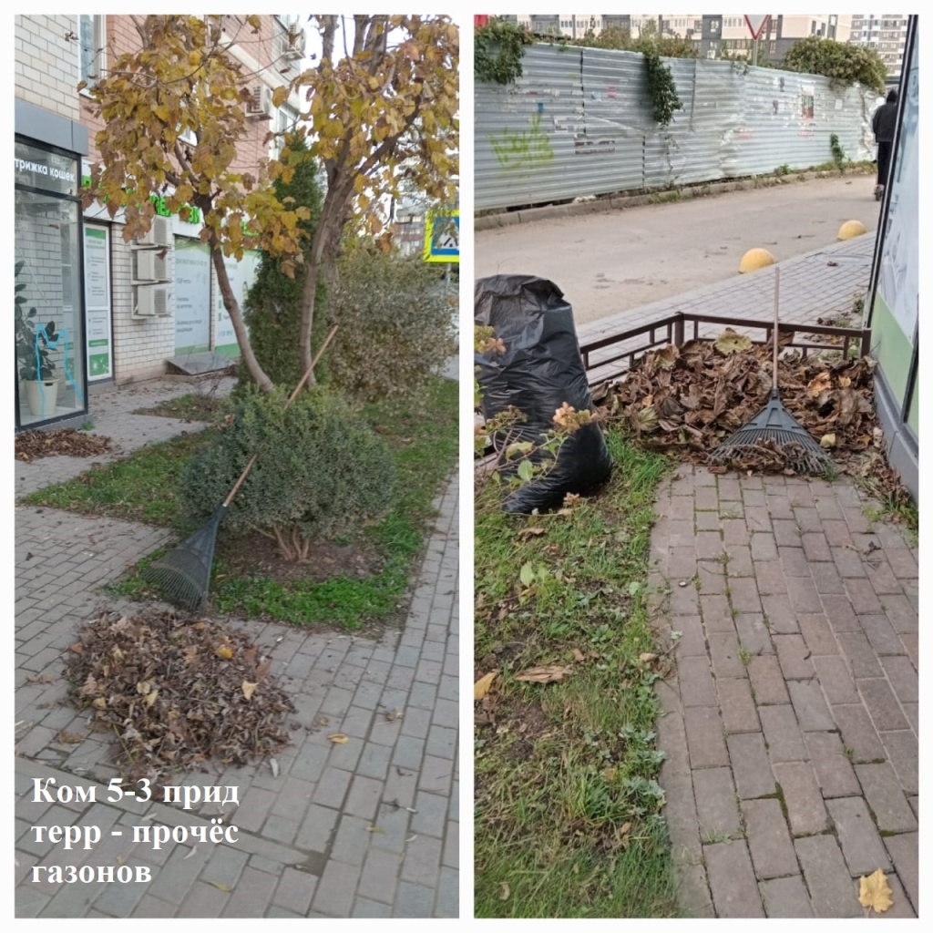 2025.11.19 - 5-3 пт - прочёс газонов.jpeg 2025.11.19 - 5-3 пт - прочёс газонов.jpeg