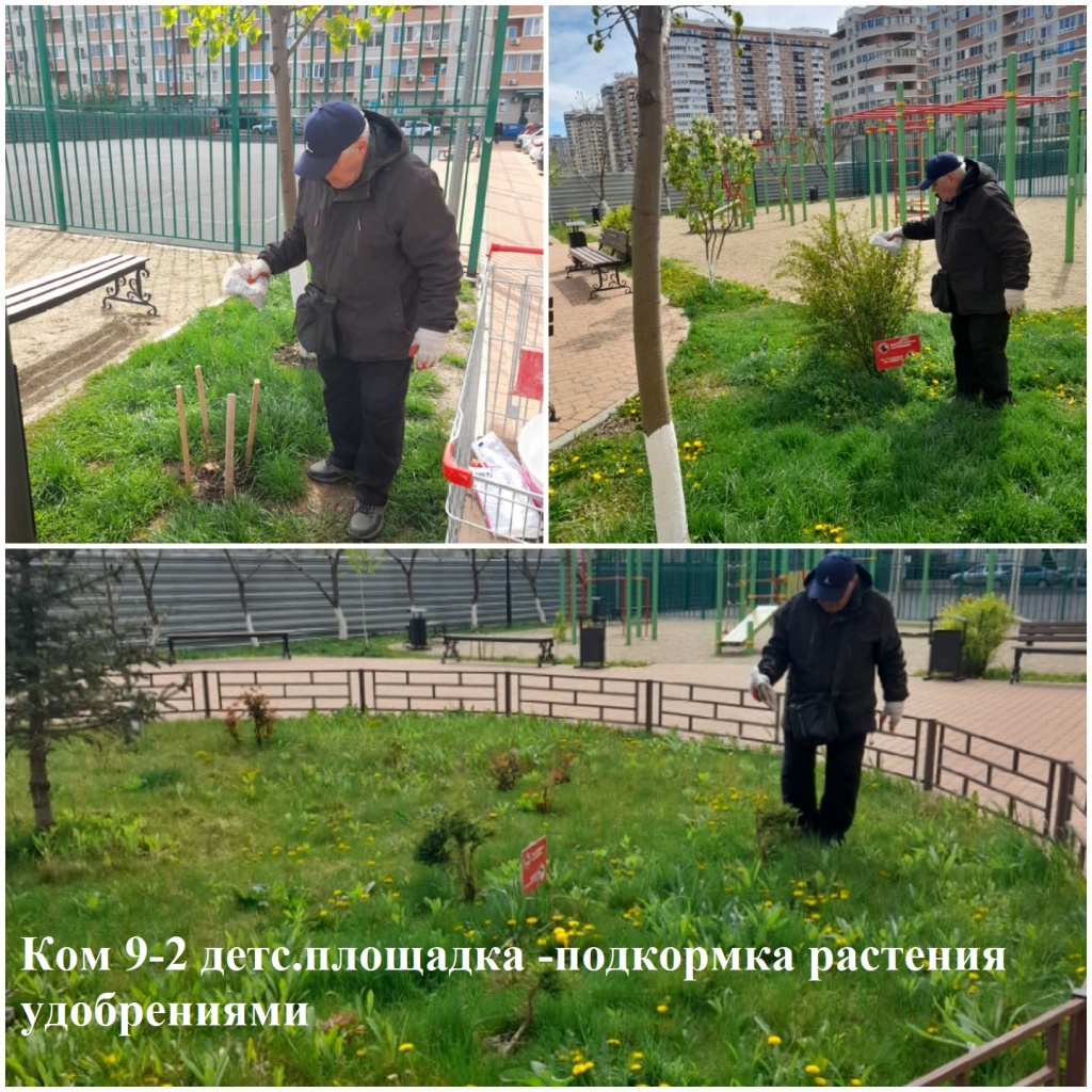 2025.04.11 - 9-2 детс.площадка -подкормка растения удобрениями.jpeg 2025.04.11 - 9-2 детс.площадка -подкормка растения удобрениями.jpeg