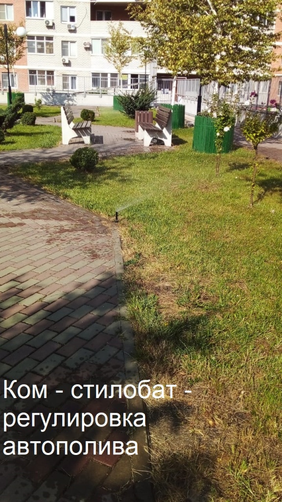 2025.09.08 - стилобат - регулировка автополива.jpeg 2025.09.08 - стилобат - регулировка автополива.jpeg