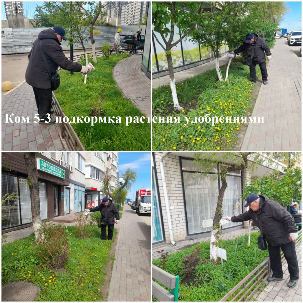 2025.04.11 - 5-3 подкормка растения удобрениями.jpeg 2025.04.11 - 5-3 подкормка растения удобрениями.jpeg