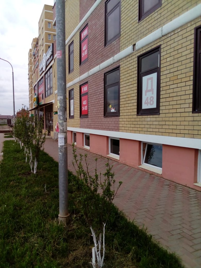 пм11.jpg пм11.jpg