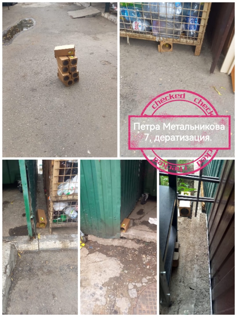 250724_пм7_дератизация.jpg 250724_пм7_дератизация.jpg