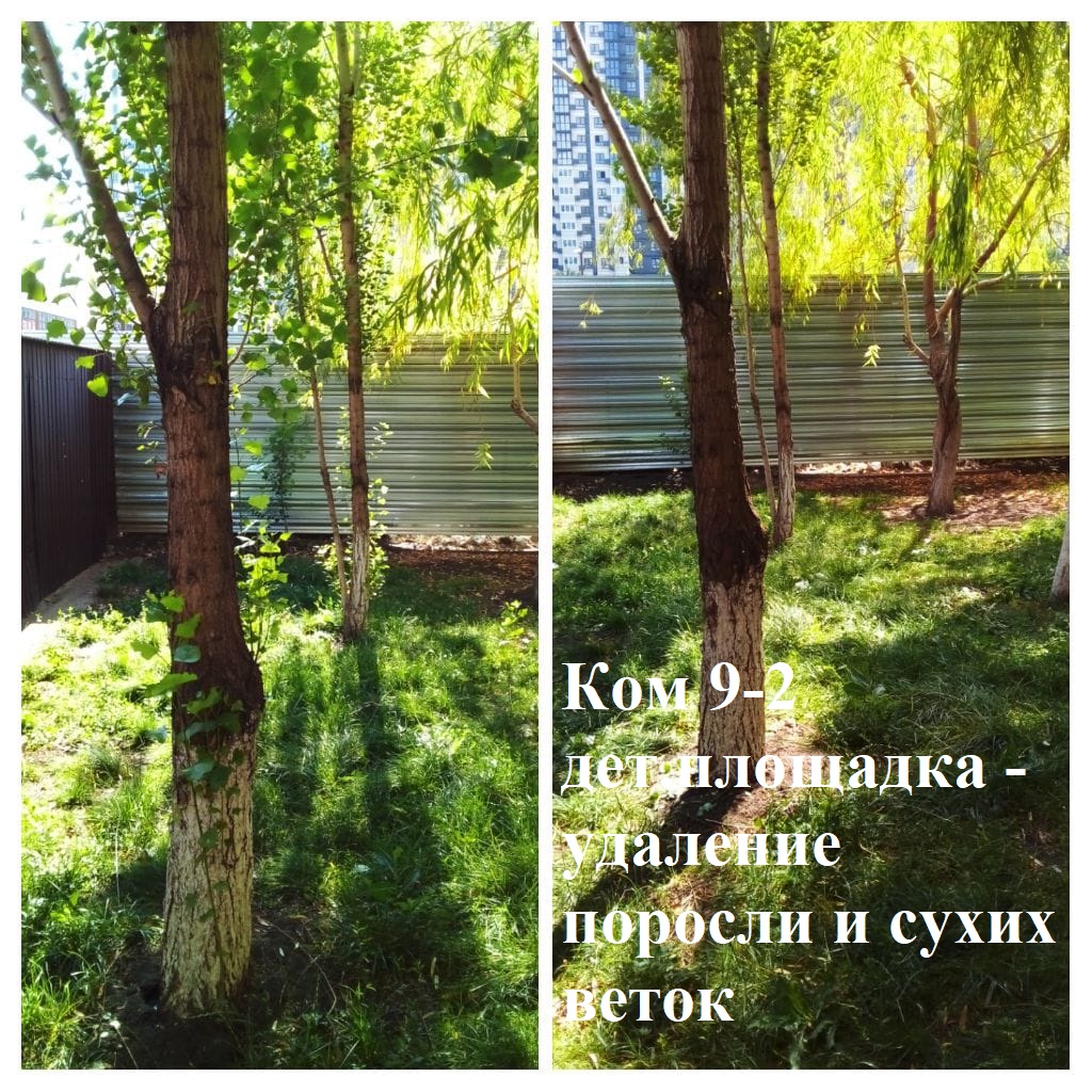 2025.06.30 - 9-2 детс.площадка - удаление поросли и сухих веток.jpeg 2025.06.30 - 9-2 детс.площадка - удаление поросли и сухих веток.jpeg