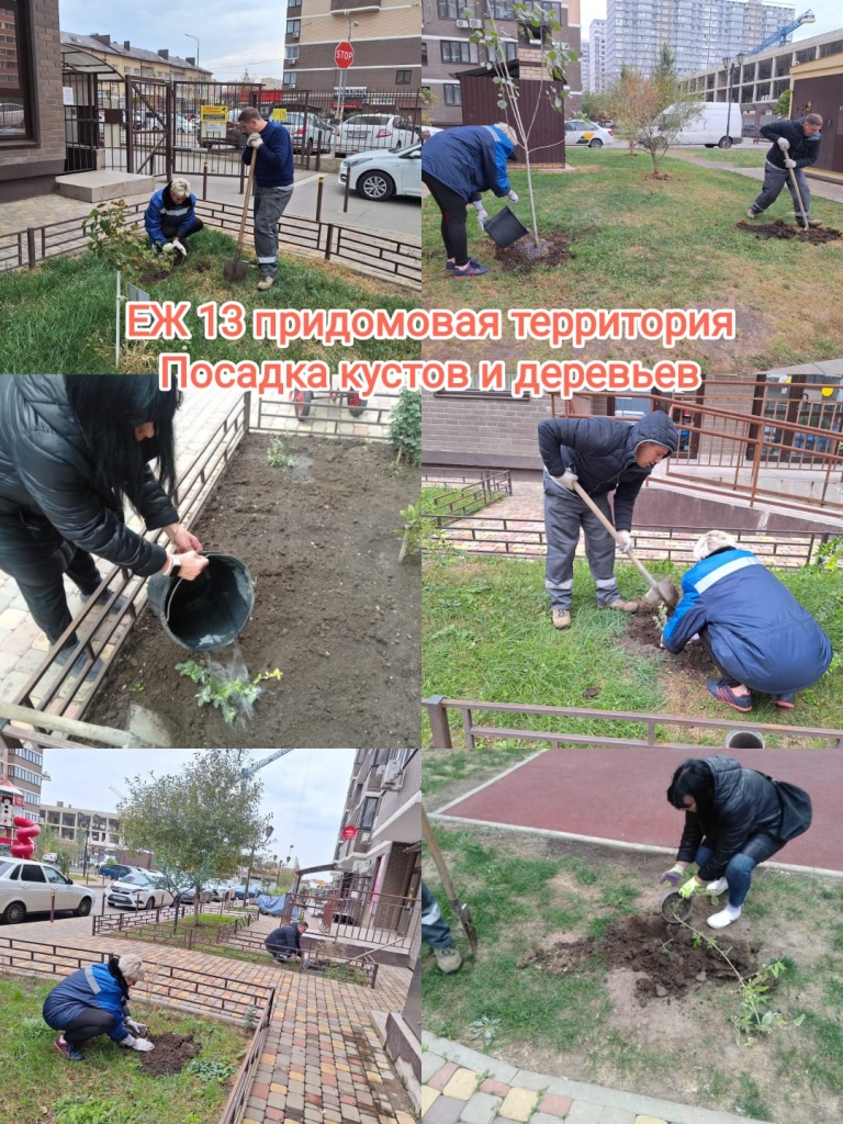 281024_еж13_озеленение.jpg 281024_еж13_озеленение.jpg