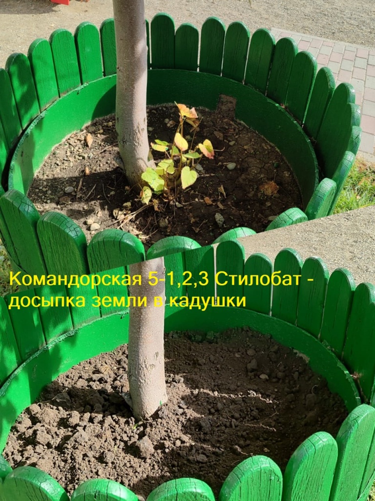 201023_Ком5-1,2,3_ДП_досыпка земли в кадушки.jpg 201023_Ком5-1,2,3_ДП_досыпка земли в кадушки.jpg