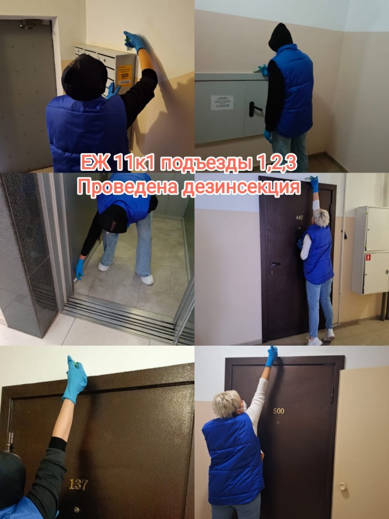 181024_еж11-1_123п_дезинсекция.jpg 181024_еж11-1_123п_дезинсекция.jpg