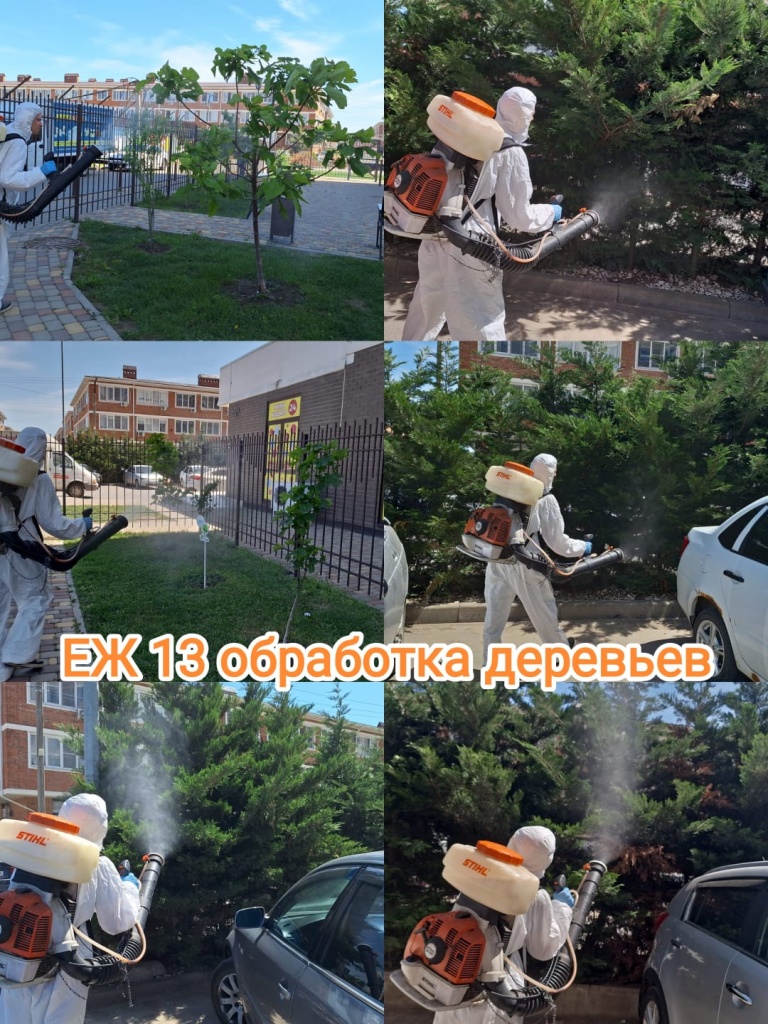 80524_еж13_обработка деревьев.jpg 80524_еж13_обработка деревьев.jpg