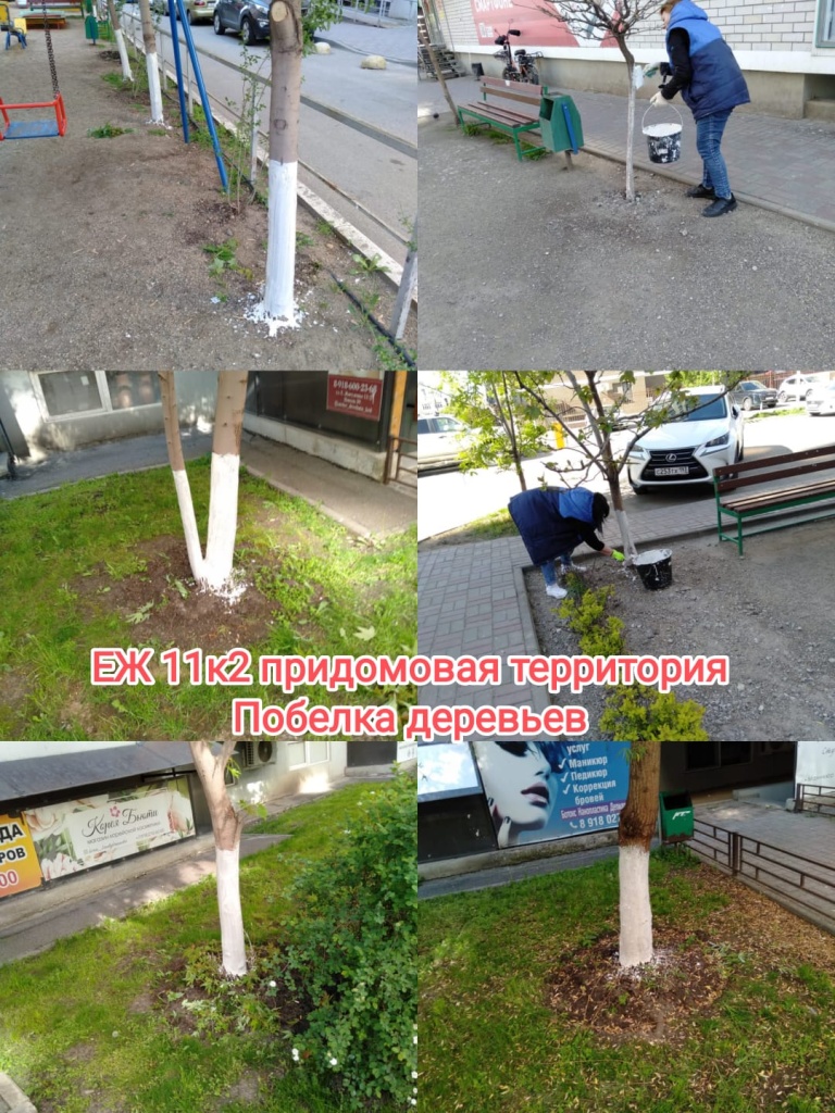 280425_ЕЖ11-2_побелка.jpg 280425_ЕЖ11-2_побелка.jpg