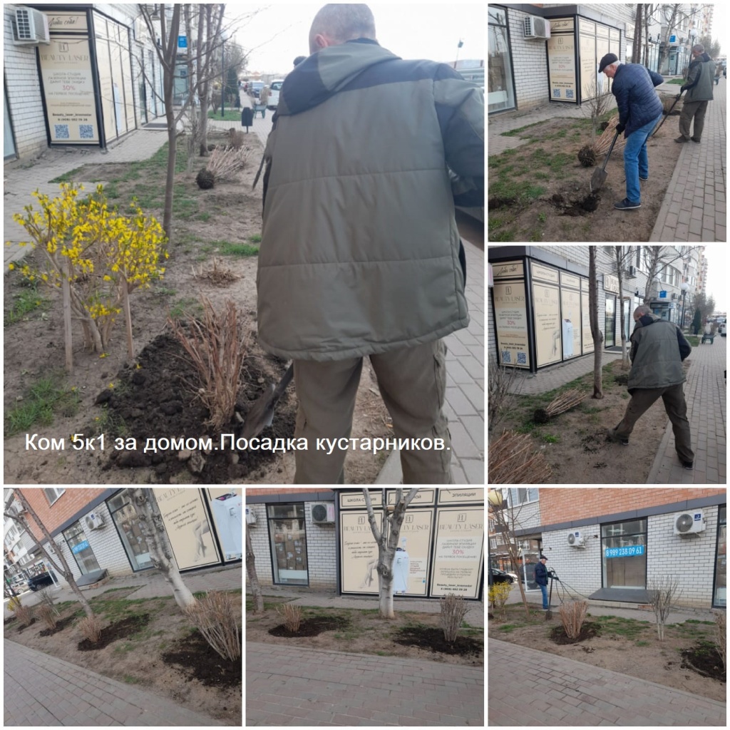 К5к1 за домом.Посадка кустарников..jpeg К5к1 за домом.Посадка кустарников..jpeg
