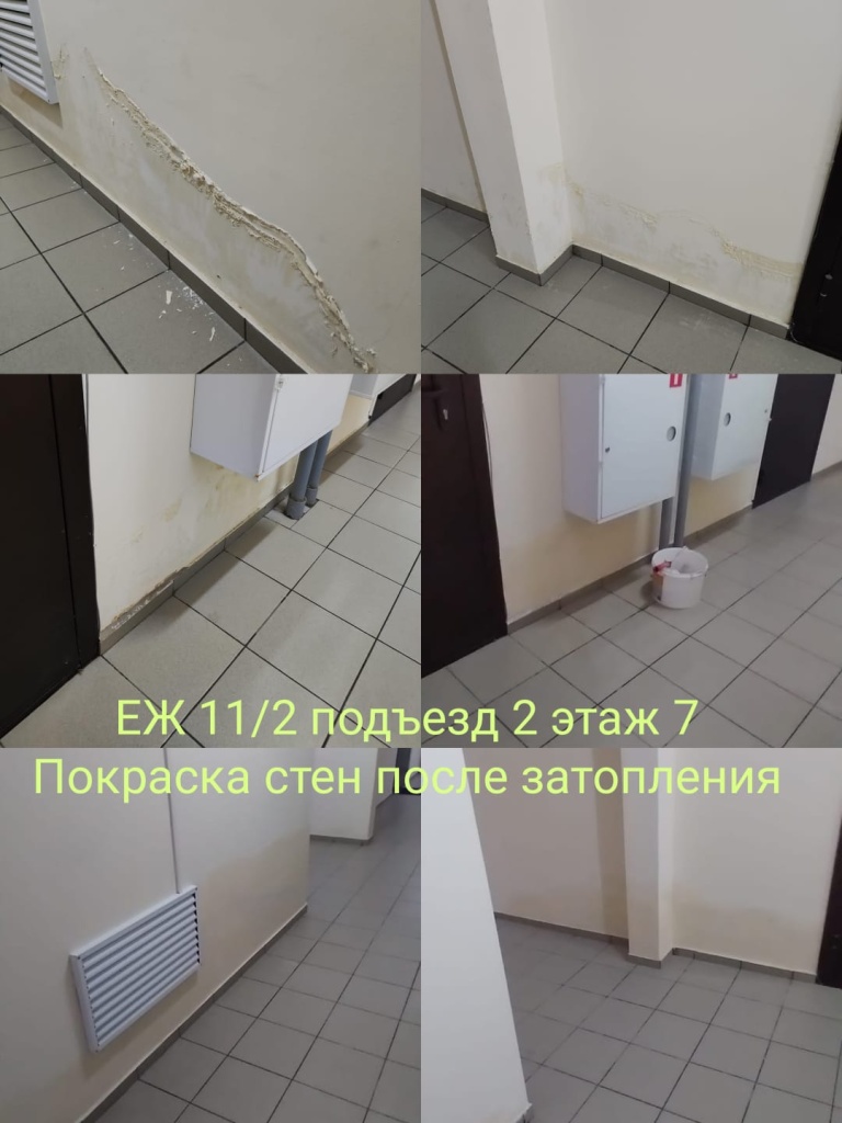 281123_еж11-2_2п_7эт_покраска стен.jpg 281123_еж11-2_2п_7эт_покраска стен.jpg