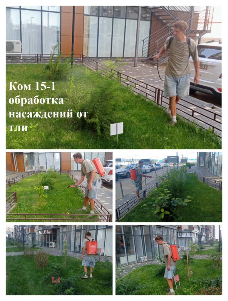 2025.06.25 - 15-1 обработка насаждений от тли.jpeg 2025.06.25 - 15-1 обработка насаждений от тли.jpeg
