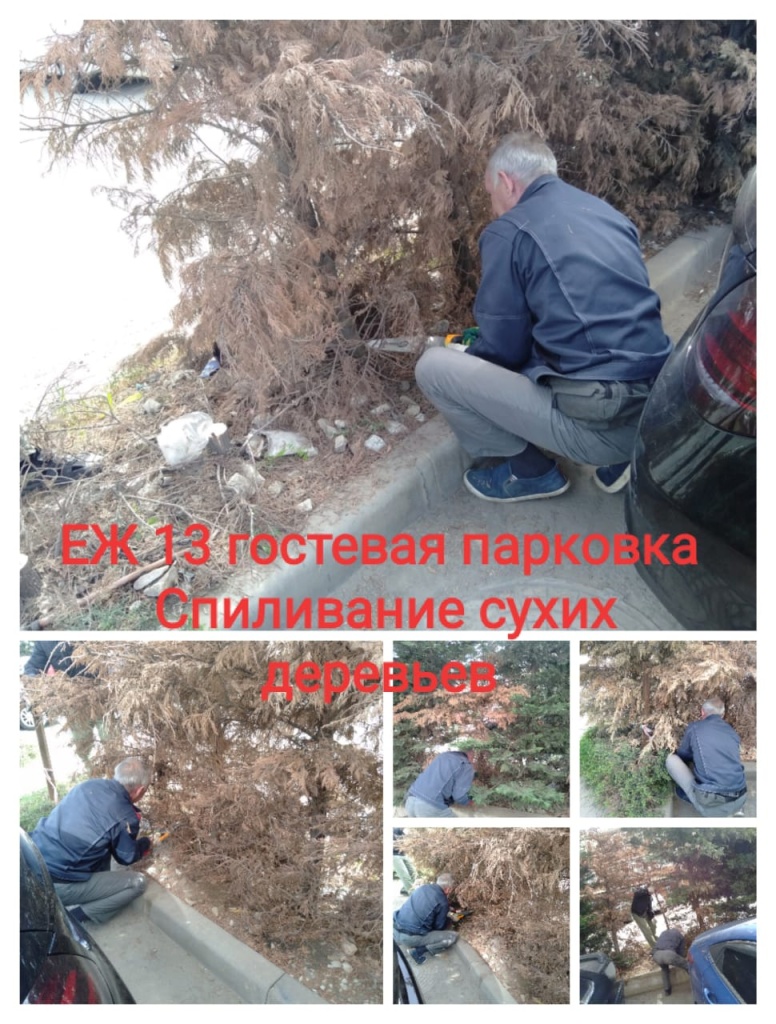 160424_еж13_парковка_спил.jpg 160424_еж13_парковка_спил.jpg