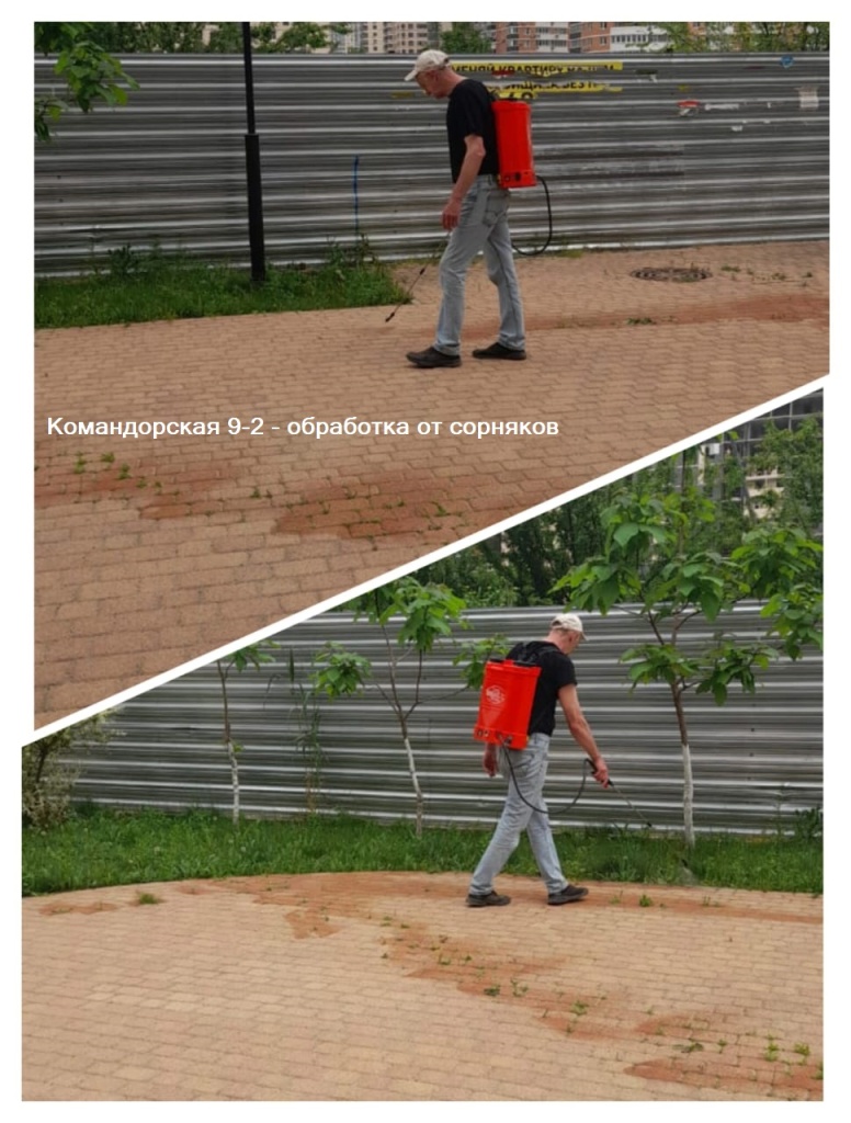 260424_Ком9-2_обработка от сорняков.jpg 260424_Ком9-2_обработка от сорняков.jpg