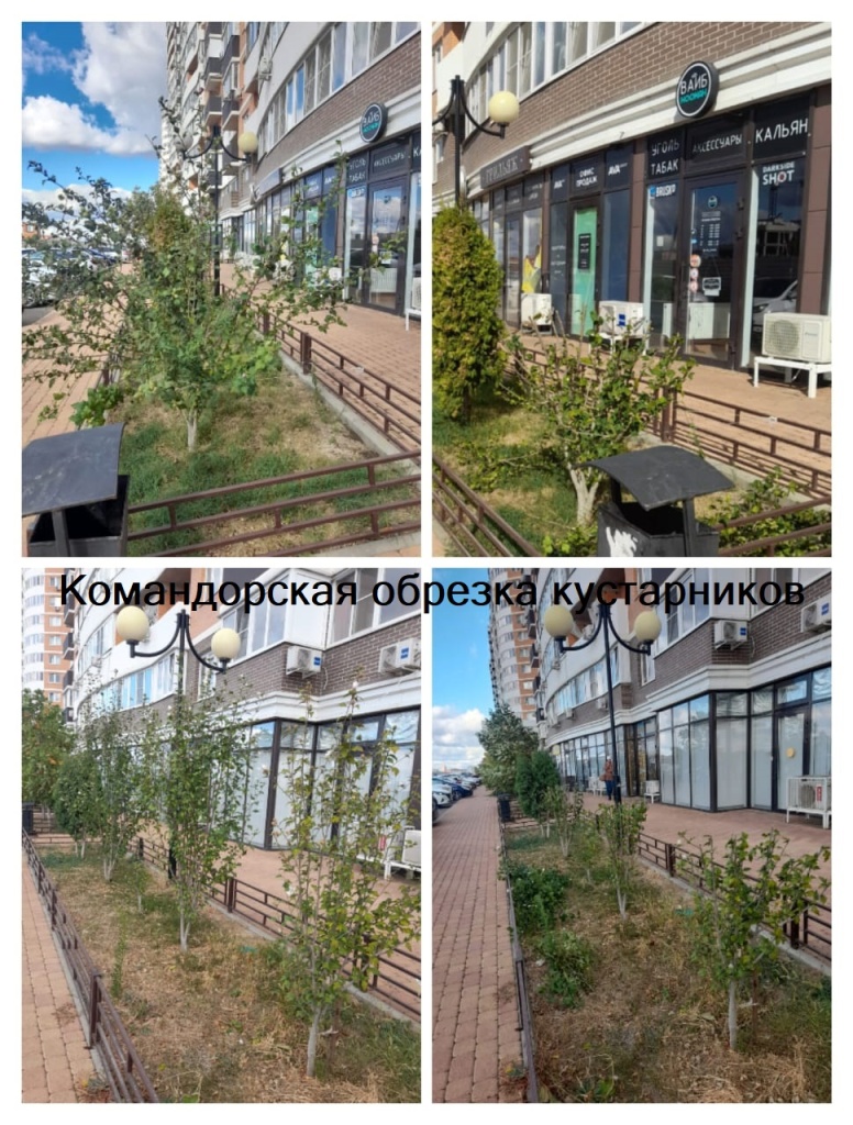 131023_Ком_обрезка деревьев.jpg 131023_Ком_обрезка деревьев.jpg