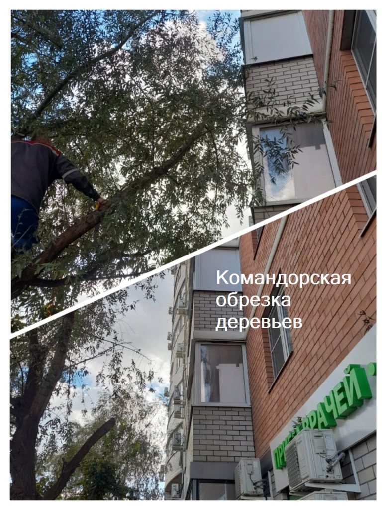 131023_Ком_обрезка деревьев2.jpg 131023_Ком_обрезка деревьев2.jpg