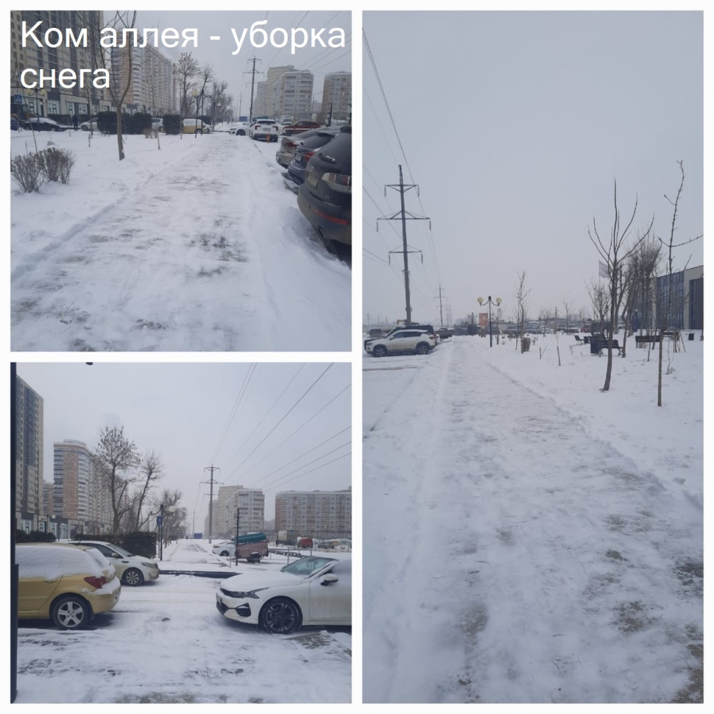 2025.02.25 - аллея - уборка снега.jpeg 2025.02.25 - аллея - уборка снега.jpeg