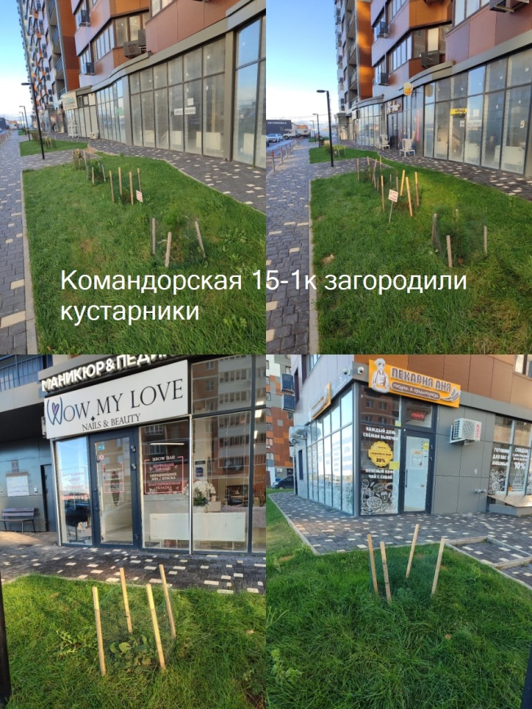 271123_Ком15_1к_загородили кустарники.jpg 271123_Ком15_1к_загородили кустарники.jpg