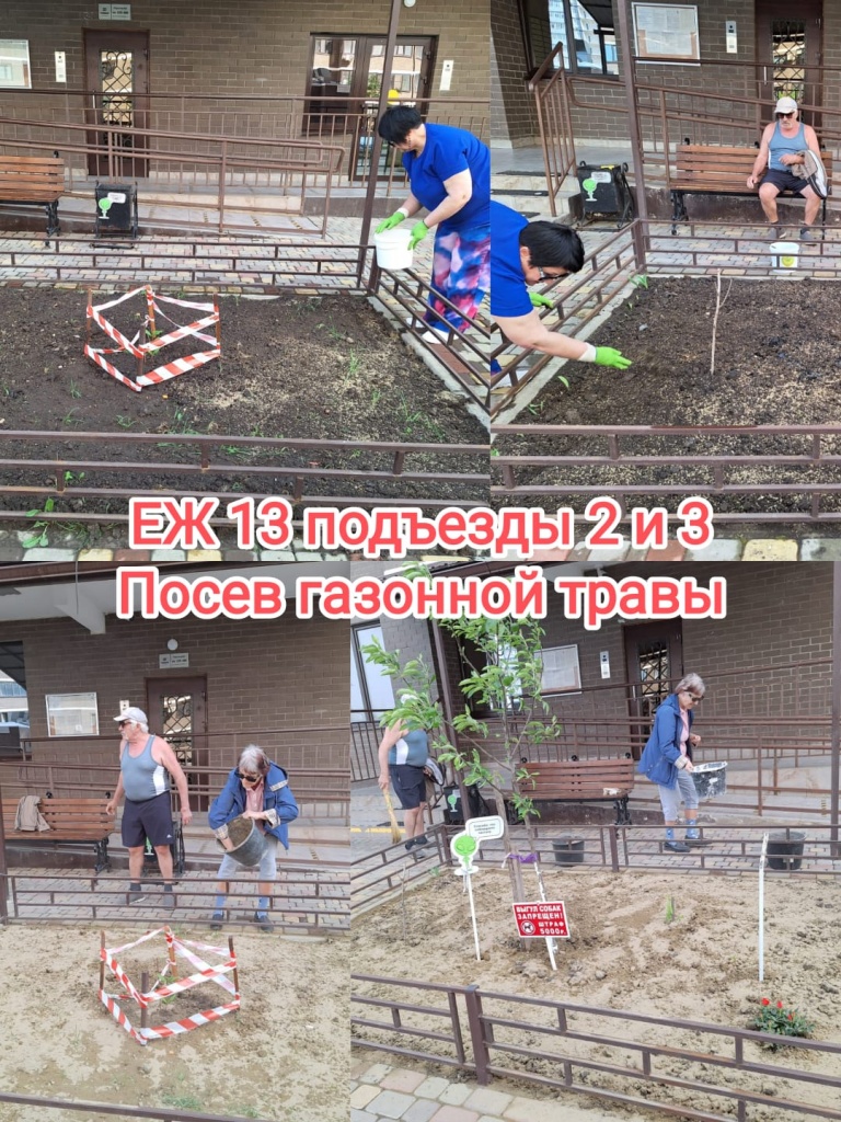 170424_еж13_2-3п_посев травы.jpg 170424_еж13_2-3п_посев травы.jpg