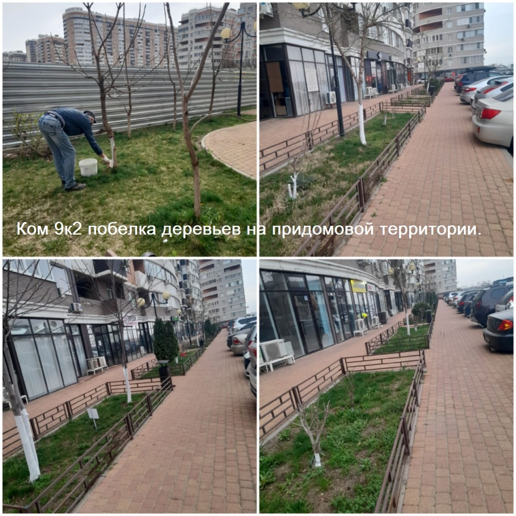 К9к2 побелка деревьев на придомовой территории..jpeg К9к2 побелка деревьев на придомовой территории..jpeg