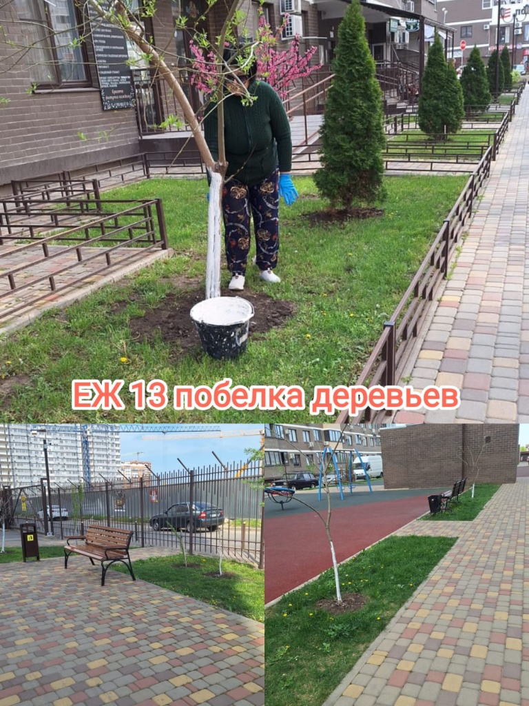 110424_еж13_побелка деревьев.jpg 110424_еж13_побелка деревьев.jpg