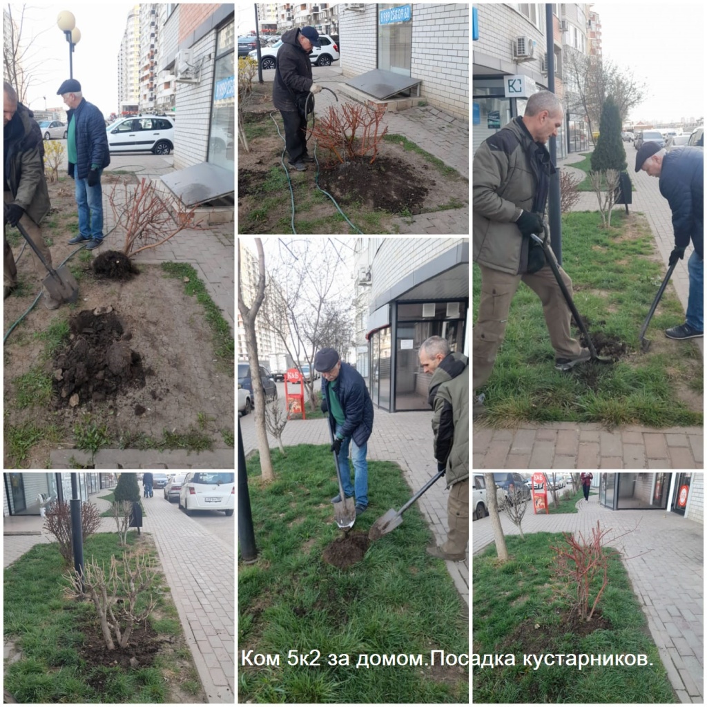 К5к2 за домом.Посадка кустарников..jpeg К5к2 за домом.Посадка кустарников..jpeg
