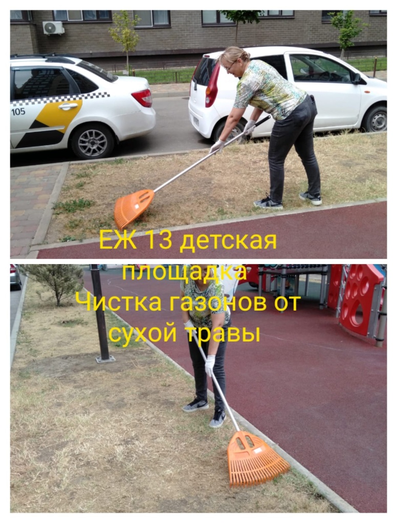 300824_еж13_ДП_уборка газонов.jpg 300824_еж13_ДП_уборка газонов.jpg