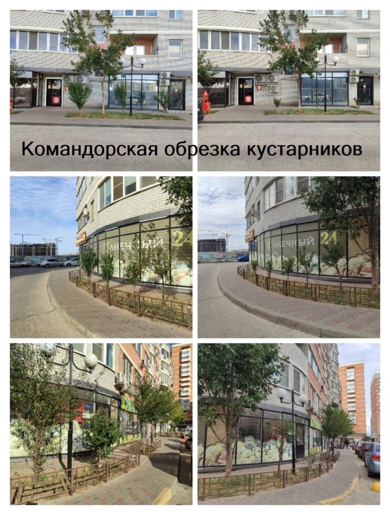 131023_Ком_обрезка кустарников.jpg 131023_Ком_обрезка кустарников.jpg
