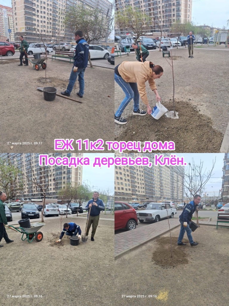 270325_ЕЖ11-2_посадка деревьев.jpg 270325_ЕЖ11-2_посадка деревьев.jpg