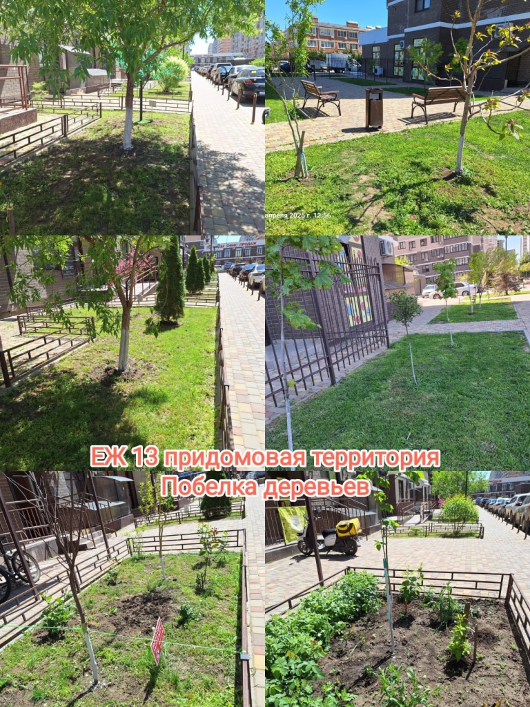 290425_ЕЖ13_побелка.jpg 290425_ЕЖ13_побелка.jpg