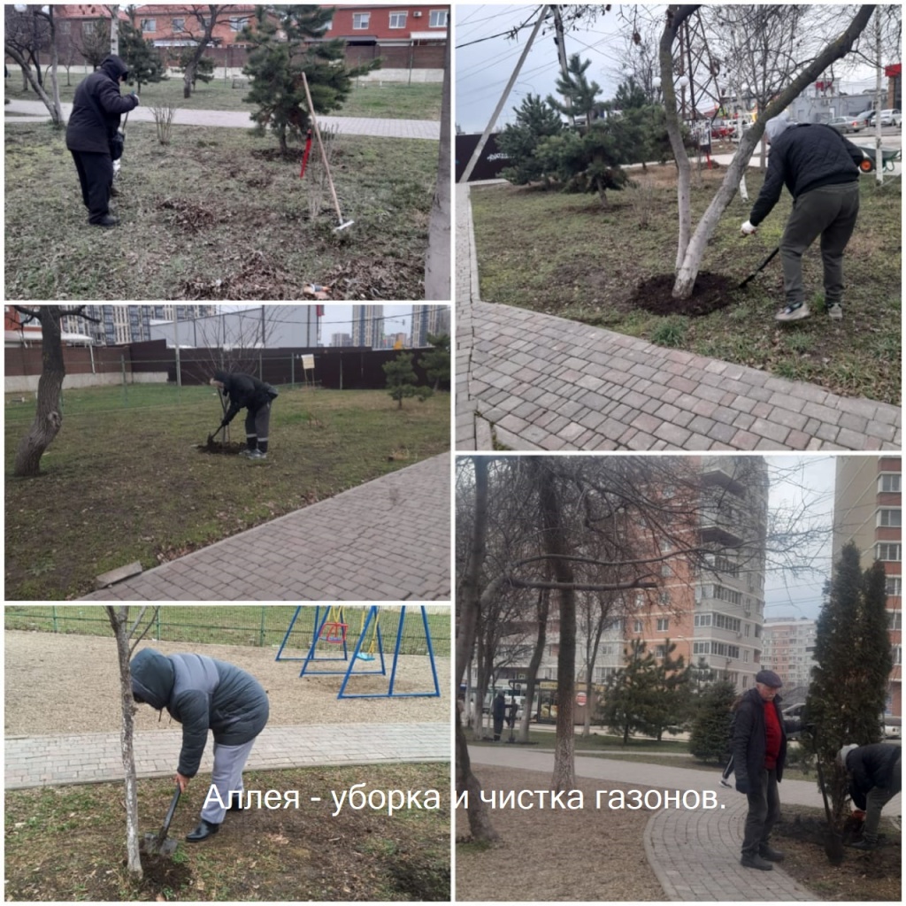 2025.01.23 - аллея - уборка и чистка газонов..jpeg 2025.01.23 - аллея - уборка и чистка газонов..jpeg