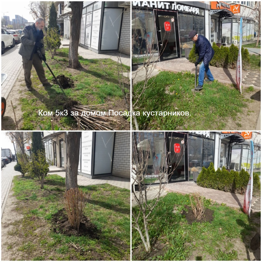 К5к3 за домом.Посадка кустарников..jpeg К5к3 за домом.Посадка кустарников..jpeg