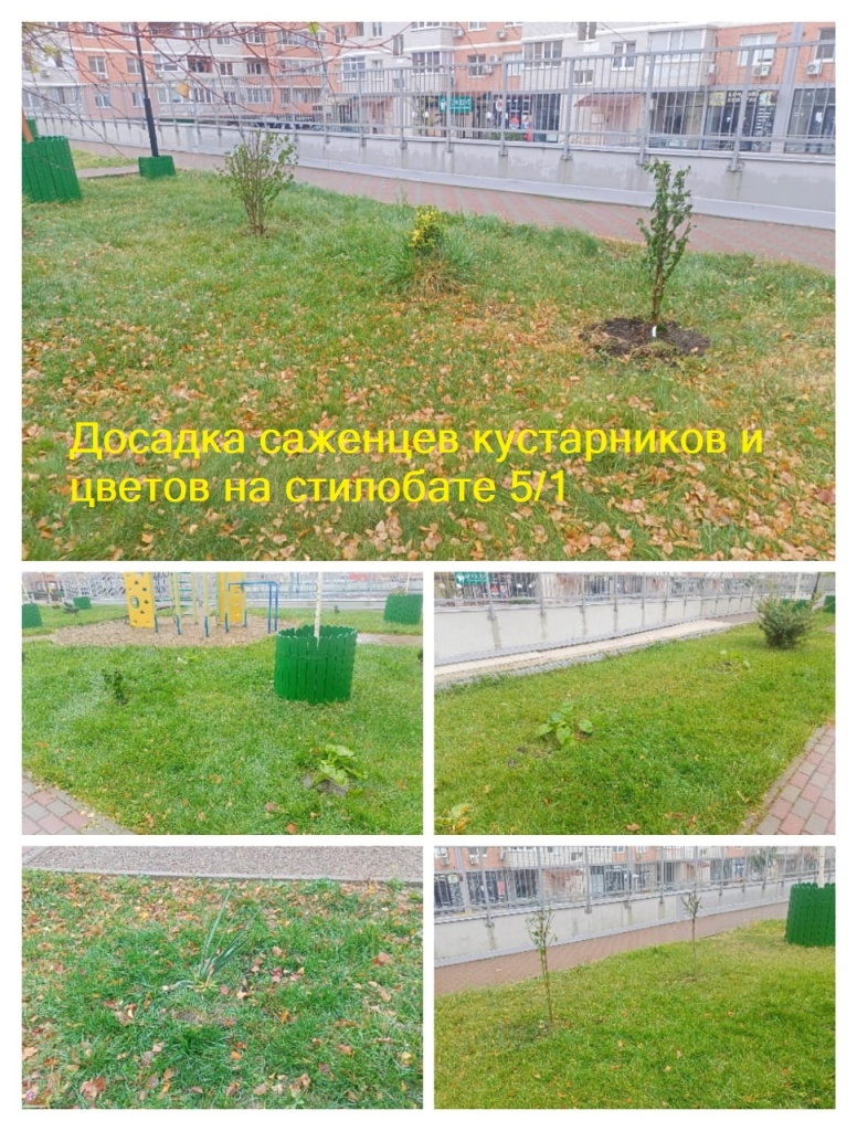 091123_ком5_Стилобат_досадка саженцев.jpg 091123_ком5_Стилобат_досадка саженцев.jpg